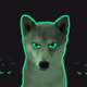 DogWaters - old