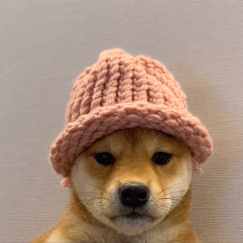 dogwifcoin