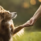 Dogztest - old