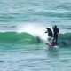 Dolphin vs. surfer