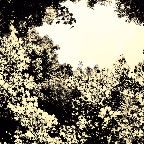 Don Amdaion Photography - old