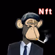 Don monkey nft