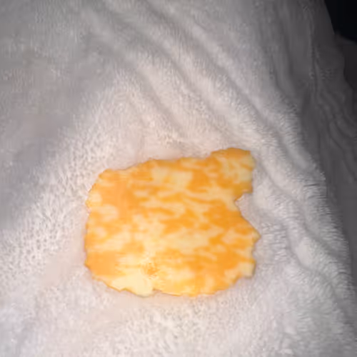 DONALD TRUMP SIDE PROFILE COLBY JACK SLICE