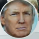 Donald Trump V4 - old