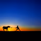 Stubborn as a Donkey Story - old