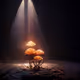 Doom's Magical Mushrooms