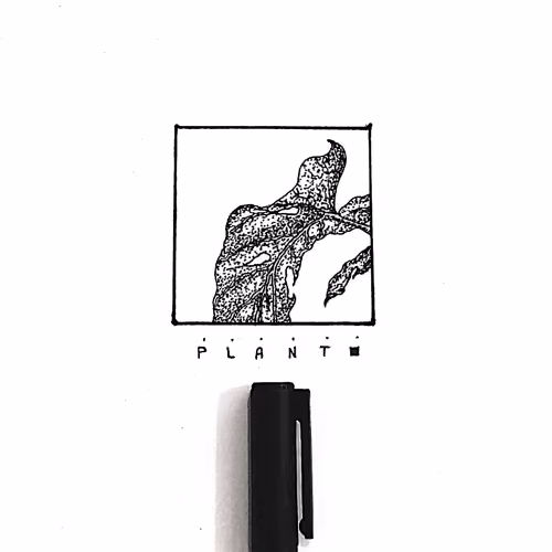 Dotted Plant - old