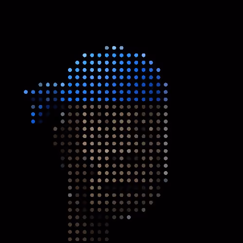 DottedPunks