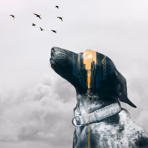 Double Blends Artwork