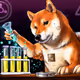 Doge Lab Cooks
