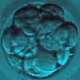 Dr. E (Believe it or Not) 5 NFT Collection Pre Sale Mint Pass - old