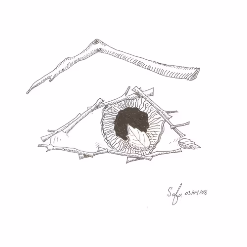 Dr. Safa Art  2 - old