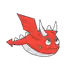 Dragon - goV8dxs4vx