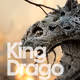 King Drago