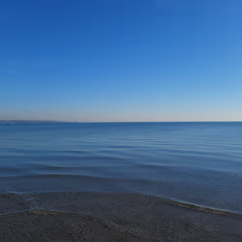 There is Beauty Everywhere.