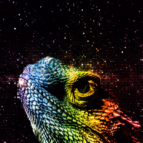 Dragonaut