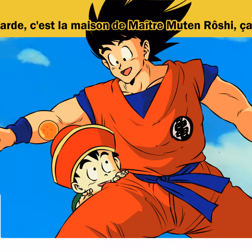 Dragon Ball Z Collection Edition A