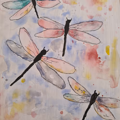 Dragonfly freedom