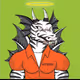 Dragonzebra