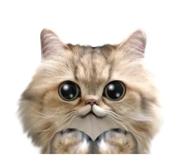 Dramacatz masterpiece