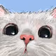 Draw your Cat - old