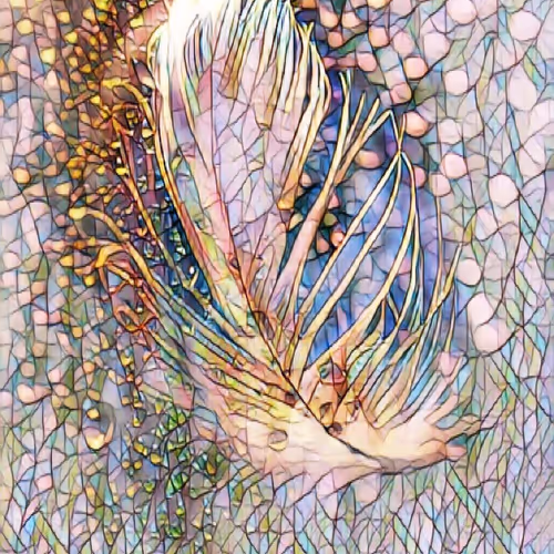 drawing the beauty of the world