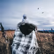Dream Captures