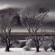 Dream Under A Pale Gray Sky