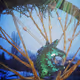 Dreamcatchers Double joy