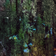 DreamLand_Abstracts