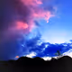 Dream Of Nature