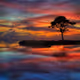 Dreamscapes V3
