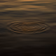 Dreams about water - old
