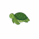 Dream Turtles