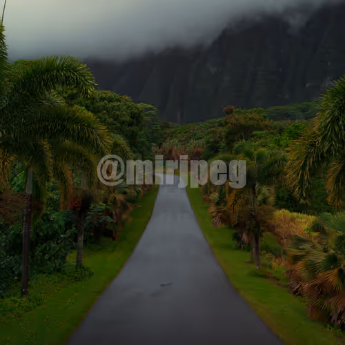Drift Above | Aerial Escapes by @mirjpeg