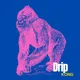 DRIP KONG