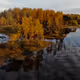 Drone and Water