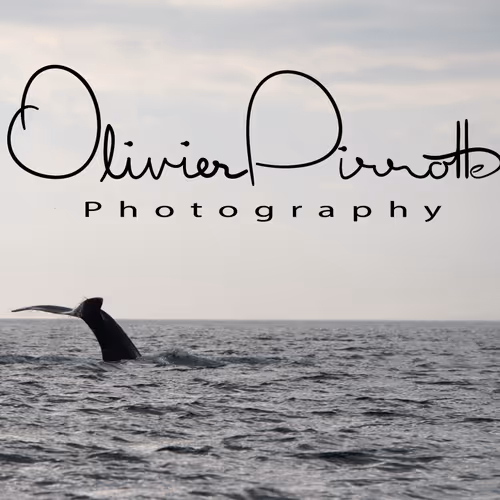 Drone shots by Olli_p