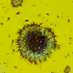 A drop#