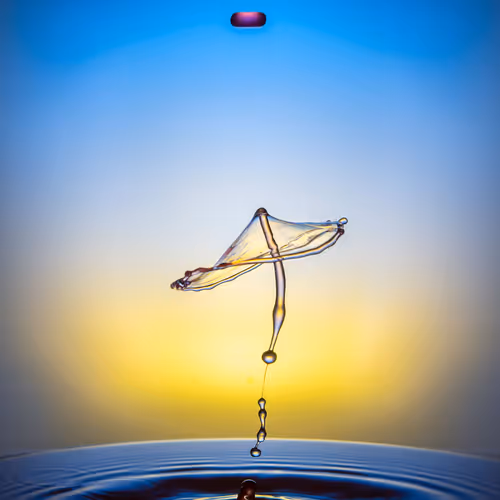 Drops Dances by Mayudrops