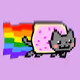 DrunkDMCACat