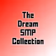 DSMP