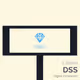 DSS_1 day_(Polygon)
