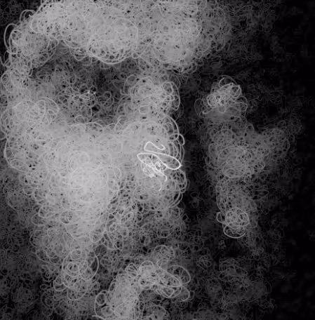 DUALBRAIN