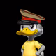 DUCK #11
