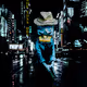 Duck Detective in the City