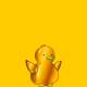 Ducks hood