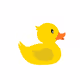 ducks of mine - old