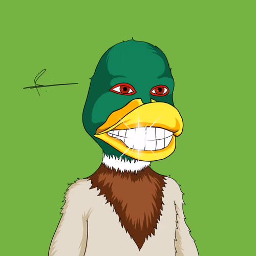 Ducks Signature