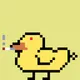 DuckyDucks